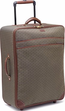 Hartmann store wings luggage